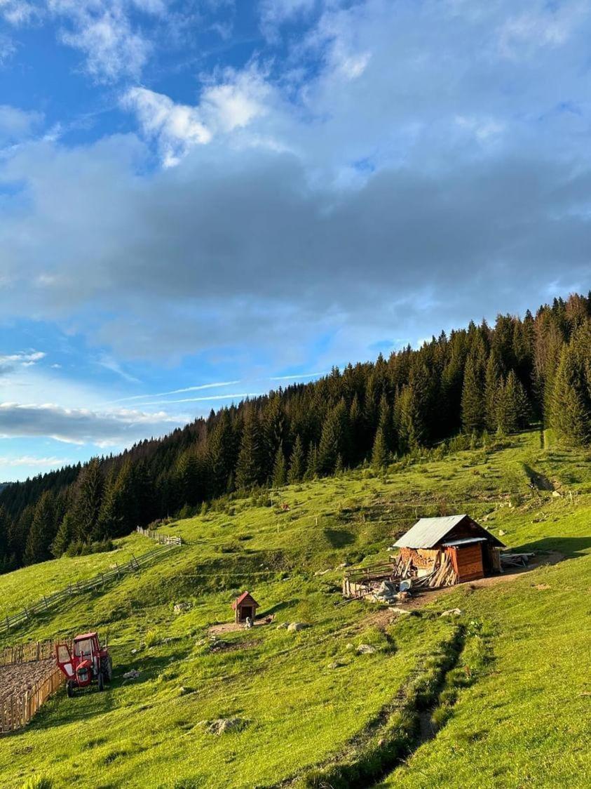 Samel'S Cottage Hrid'S Lake Prokletije 普拉夫 外观 照片