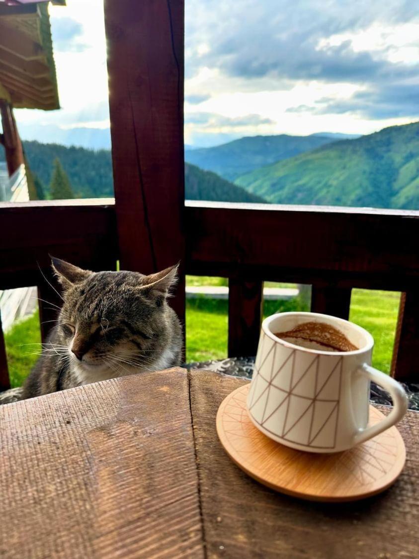 Samel'S Cottage Hrid'S Lake Prokletije 普拉夫 外观 照片